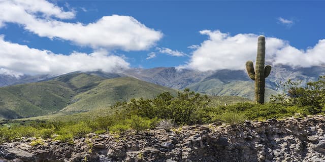 TUCUMÁN